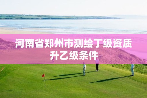 河南省郑州市测绘丁级资质升乙级条件 河南省郑州市测绘丁级资质升乙级条件