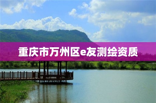 重庆市万州区e友测绘资质 重庆市万州区e友测绘资质