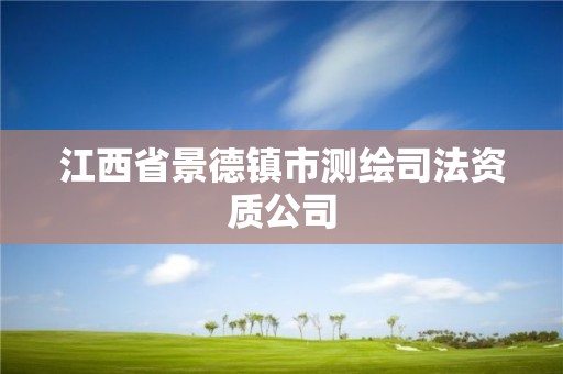 江西省景德镇市测绘司法资质公司 江西省景德镇市测绘司法资质公司