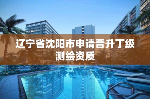 辽宁省沈阳市申请晋升丁级测绘资质 辽宁省沈阳市申请晋升丁级测绘资质