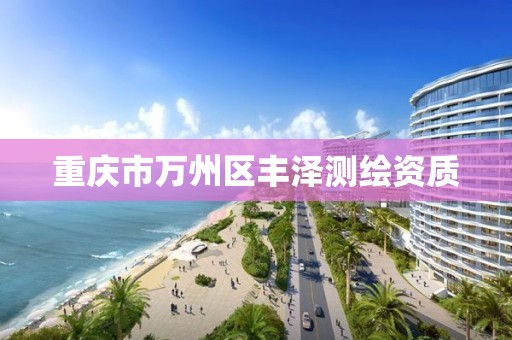 重庆市万州区丰泽测绘资质 重庆市万州区丰泽测绘资质