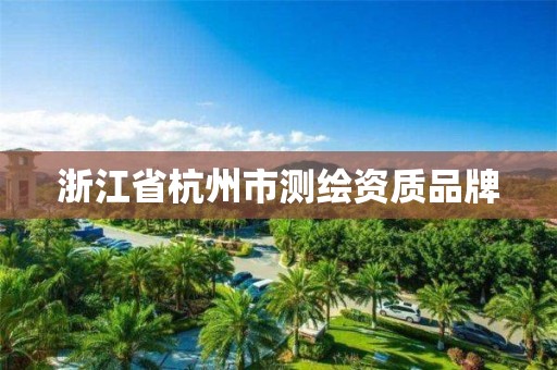 浙江省杭州市测绘资质品牌