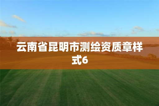 云南省昆明市测绘资质章样式6
