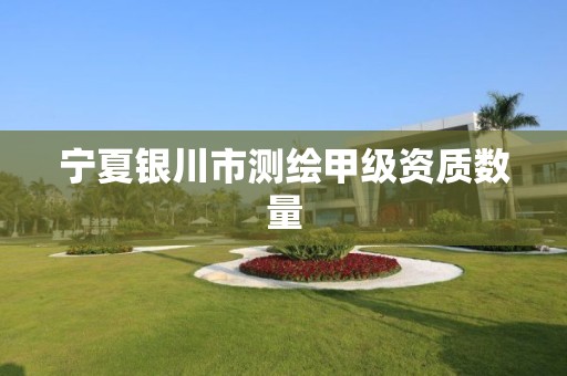 宁夏银川市测绘甲级资质数量 宁夏银川市测绘甲级资质数量