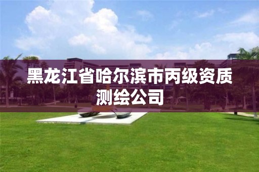 黑龙江省哈尔滨市丙级资质测绘公司 黑龙江省哈尔滨市丙级资质测绘公司