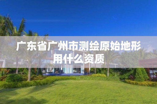 广东省广州市测绘原始地形用什么资质
