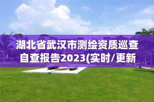 湖北省武汉市测绘资质巡查自查报告2023(实时/更新中)
