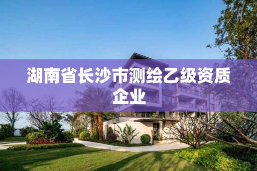 湖南省长沙市测绘乙级资质企业 湖南省长沙市测绘乙级资质企业