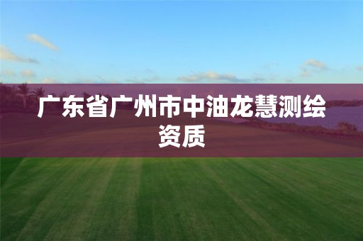 广东省广州市中油龙慧测绘资质 广东省广州市中油龙慧测绘资质