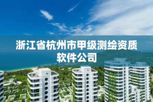 浙江省杭州市甲级测绘资质软件公司