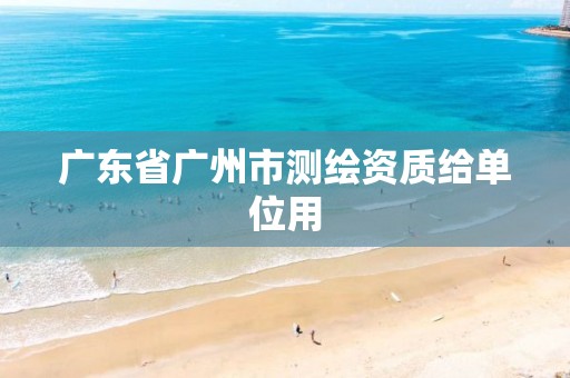 广东省广州市测绘资质给单位用