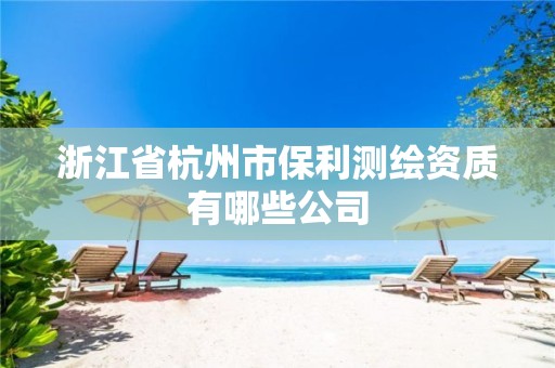 浙江省杭州市保利测绘资质有哪些公司