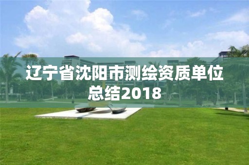 辽宁省沈阳市测绘资质单位总结2018 辽宁省沈阳市测绘资质单位总结2018