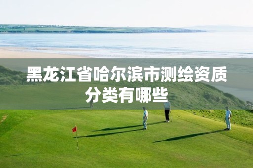 黑龙江省哈尔滨市测绘资质分类有哪些 黑龙江省哈尔滨市测绘资质分类有哪些
