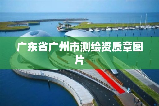 广东省广州市测绘资质章图片