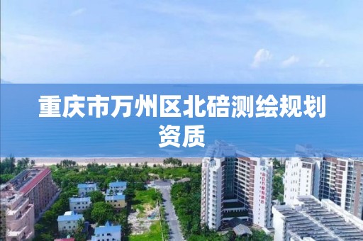 重庆市万州区北碚测绘规划资质 重庆市万州区北碚测绘规划资质