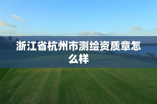 浙江省杭州市测绘资质章怎么样 浙江省杭州市测绘资质章怎么样