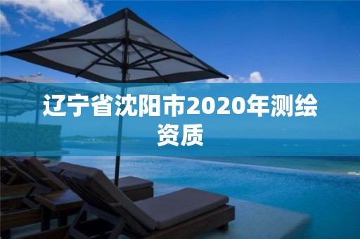辽宁省沈阳市2020年测绘资质 辽宁省沈阳市2020年测绘资质