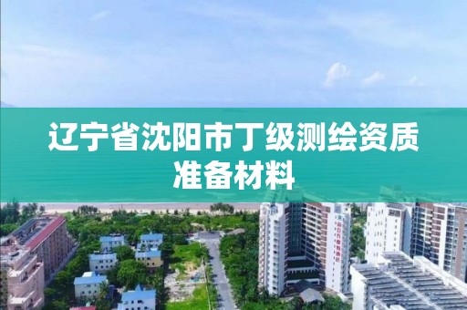 辽宁省沈阳市丁级测绘资质准备材料 辽宁省沈阳市丁级测绘资质准备材料
