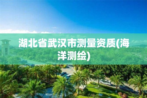 湖北省武汉市测量资质(海洋测绘)