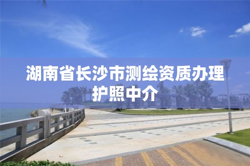 湖南省长沙市测绘资质办理护照中介 湖南省长沙市测绘资质办理护照中介