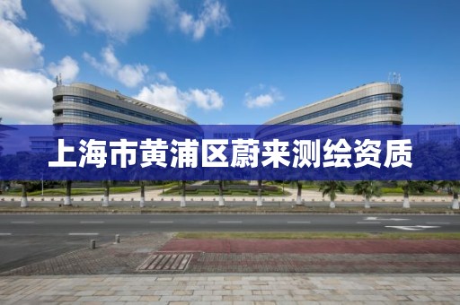 上海市黄浦区蔚来测绘资质 上海市黄浦区蔚来测绘资质