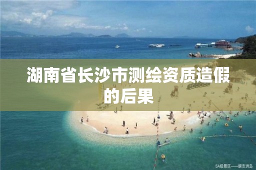 湖南省长沙市测绘资质造假的后果 湖南省长沙市测绘资质造假的后果
