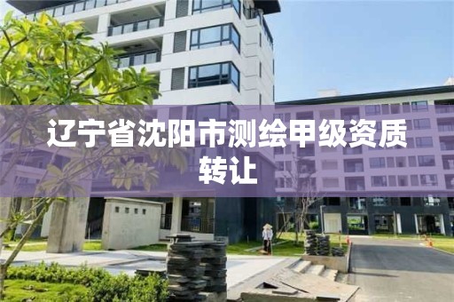 辽宁省沈阳市测绘甲级资质转让 辽宁省沈阳市测绘甲级资质转让