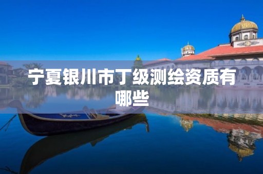 宁夏银川市丁级测绘资质有哪些 宁夏银川市丁级测绘资质有哪些