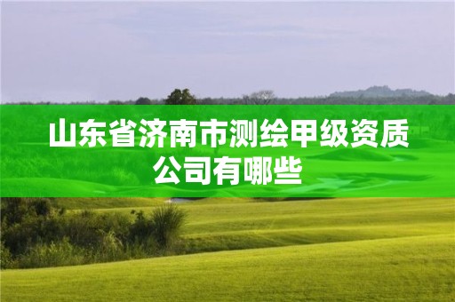 山东省济南市测绘甲级资质公司有哪些 山东省济南市测绘甲级资质公司有哪些