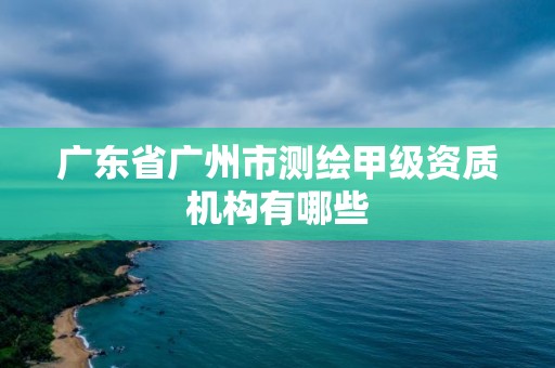 广东省广州市测绘甲级资质机构有哪些 广东省广州市测绘甲级资质机构有哪些