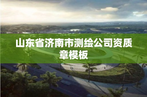 山东省济南市测绘公司资质章模板 山东省济南市测绘公司资质章模板