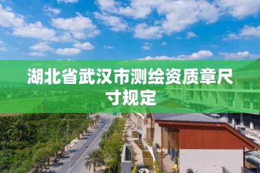 湖北省武汉市测绘资质章尺寸规定