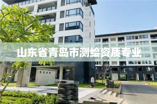 山东省青岛市测绘资质专业