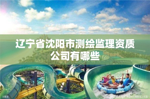 辽宁省沈阳市测绘监理资质公司有哪些 辽宁省沈阳市测绘监理资质公司有哪些