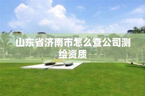 山东省济南市怎么查公司测绘资质