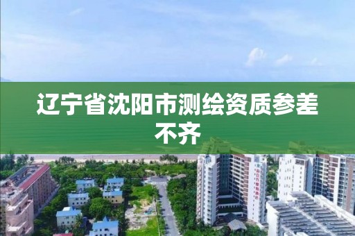 辽宁省沈阳市测绘资质参差不齐 辽宁省沈阳市测绘资质参差不齐