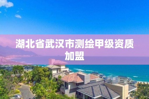 湖北省武汉市测绘甲级资质加盟
