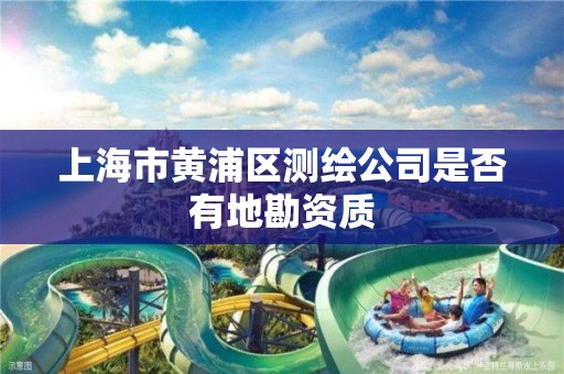 上海市黄浦区测绘公司是否有地勘资质