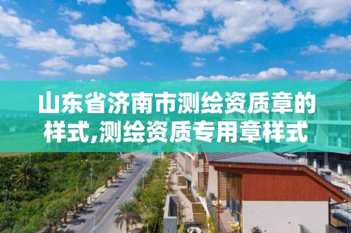 山东省济南市测绘资质章的样式,测绘资质专用章样式图 山东省济南市测绘资质章的样式,测绘资质专用章样式图