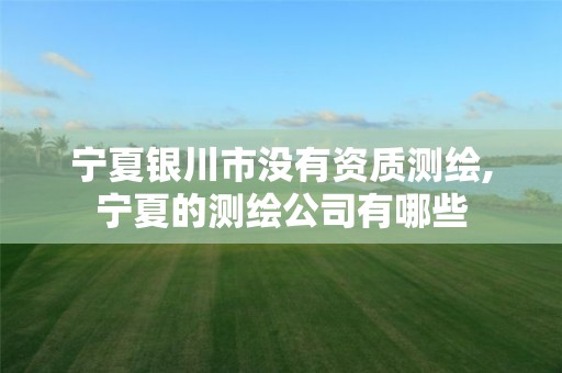 宁夏银川市没有资质测绘,宁夏的测绘公司有哪些