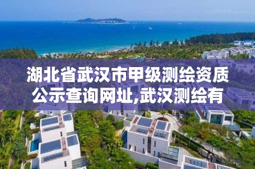 湖北省武汉市甲级测绘资质公示查询网址,武汉测绘有限公司