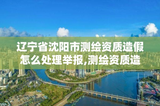 辽宁省沈阳市测绘资质造假怎么处理举报,测绘资质造假在哪里举报 辽宁省沈阳市测绘资质造假怎么处理举报,测绘资质造假在哪里举报