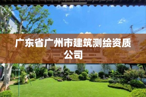 广东省广州市建筑测绘资质公司