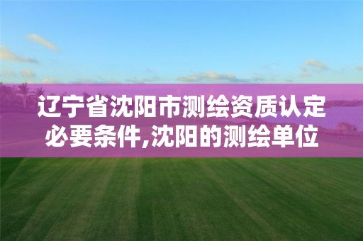 辽宁省沈阳市测绘资质认定必要条件,沈阳的测绘单位有哪些 辽宁省沈阳市测绘资质认定必要条件,沈阳的测绘单位有哪些
