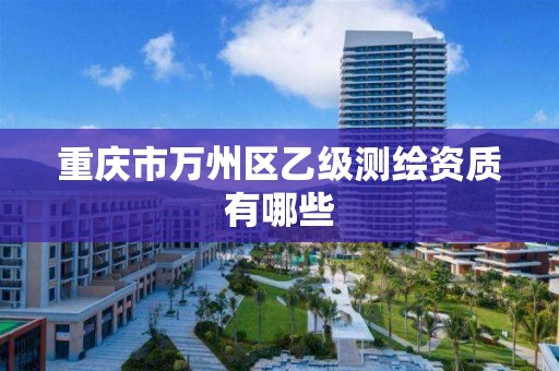 重庆市万州区乙级测绘资质有哪些 重庆市万州区乙级测绘资质有哪些