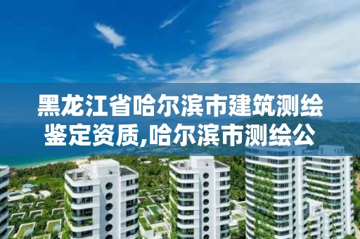 黑龙江省哈尔滨市建筑测绘鉴定资质,哈尔滨市测绘公司 黑龙江省哈尔滨市建筑测绘鉴定资质,哈尔滨市测绘公司