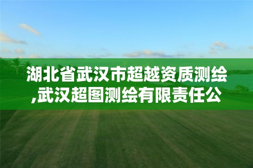 湖北省武汉市超越资质测绘,武汉超图测绘有限责任公司