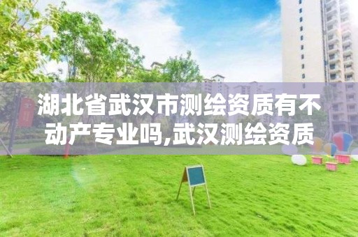 湖北省武汉市测绘资质有不动产专业吗,武汉测绘资质代办 湖北省武汉市测绘资质有不动产专业吗,武汉测绘资质代办