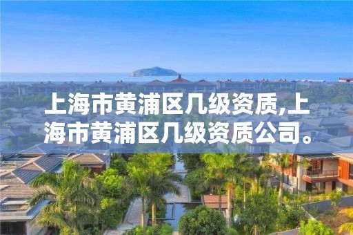 上海市黄浦区几级资质,上海市黄浦区几级资质公司。